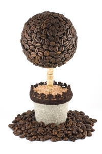 Как сделать кофейное дерево своими руками?